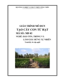 Giáo trình Tạo cây con từ hạt - MĐ02: Bảo tồn, trồng và làm giàu rừng tự nhiên