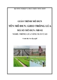 Giáo trình Gieo trồng lúa - MĐ02: Trồng lúa năng suất cao