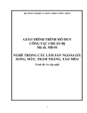 Giáo trình Công tác chuẩn bị - MĐ01: Trồng cây lâm sản ngoài gỗ song, mây trám trăng táo mèo