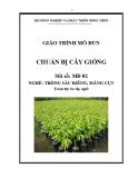 Giáo trình Chuẩn bị cây giống - MĐ02: Trồng sầu riêng, măng cụt