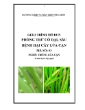 Giáo trình Phòng trừ cỏ dại, sâu bệnh hại cây lúa cạn - MĐ03: Trồng lúa cạn