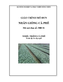 Giáo trình Nhân giống cà phê - MĐ01: Trồng cà phê