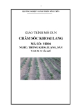 Giáo trình Chăm sóc khoai lang - MĐ04: Trồng khoai lang, sắn