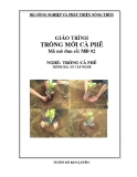 Giáo trình Trồng mới cà phê - MĐ02: Trồng cà phê