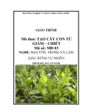 Giáo trình Tạo cây con từ giâm, chiết - MĐ03: Bảo tồn, trồng và làm giàu rừng tự nhiên