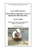 Giáo trình Chẩn đoán nhanh và xử lý bệnh do môi trường - MĐ02: Chẩn đoán nhanh bệnh động vật thủy sản