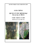 Giáo trình Quản lý sâu bệnh hại - MĐ04: Trồng cà phê