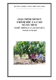 Giáo trình Chăm sóc ca cao - MĐ02: Trồng ca cao xen dừa