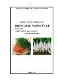 Giáo trình Trồng rau nhóm ăn củ - MĐ05: Trồng rau an toàn