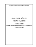 Giáo trình Trồng cây quế - MĐ02: Trồng quế, hồi, sả lấy tinh dầu