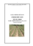 Giáo trình Chăm sóc sắn - MĐ05: Trồng khoai lang, sắn