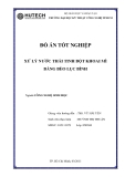 Luận văn: Xử lý nước thải tinh bột khoai mì bằng bèo lục bình