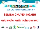 Thuyết trình chuyên ngành Giải phẫu phổi trên gia súc