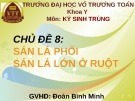 Thuyết trình môn Ký sinh trùng: Sán lá phổi, sán lá lớn ở ruột