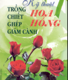 Kinh nghiệm trồng - chiết - ghép - giâm cành hoa hồng: Phần 2