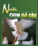 Kỹ thuật Nuôi chim bồ câu: Phần 1