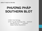 Thuyết trình Kỹ thuật di truyển: Phương pháp Southern blot