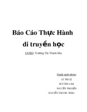 Báo cáo thực hành di truyền học