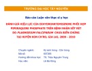 Luận văn thạc sĩ Y học: Đánh giá hiệu lực của dihydroartemisinine phối hợp piperaquine phosphate trên bệnh nhân sốt rét do plasmodium falciparum chưa biến chứng tại huyện Kon Ch’ro tỉnh Gia Lai năm 2009-2010