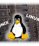 Lập trình Unix/Linux trong môi trường shell