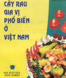 Một số cây rau gia vị phổ biến ở Việt Nam: Phần 1