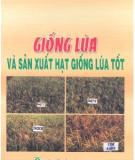 Sản xuất hạt giống lúa tốt và giống lúa: Phần 1