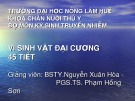 Bài giảng Vi sinh vật đại cương - ĐH Nông Lâm Huế