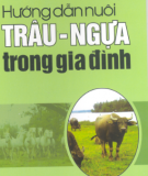 Kỹ thuật nuôi trâu - ngựa trong gia đình: Phần 1