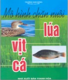 Mô hình kỹ thuật chăn nuôi vịt - cá - lúa: Phần 2