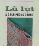 Cách phòng chống Lũ lụt: Phần 1