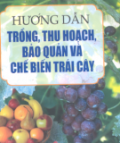 Kỹ thuật trồng, thu hoạch, bảo quản và chế biến trái cây: Phần 1