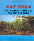 Kỹ thuật trồng và chăm sóc Cây nhãn: Phần 2