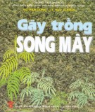 Gây trồng và phát triển mây song: Phần 2