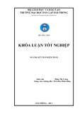 Luận văn tốt nghiệp: Hoàn thiện công tác kế toán bán hàng và xác định kết quả bán hàng tại chi nhánh công ty cổ phần thương mại và dịch vụ Ngọc Hà tại Hải Phòng