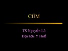 Bài giảng Cúm - TS. Nguyễn Lô