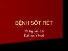 Bài giảng Bệnh rốt rét - TS. Nguyễn Lô