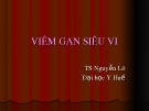 Bài giảng Viêm gan siêu vi - TS. Nguyễn Lô