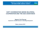 Soft coordination among bilateral cooperation and the iaea assistance - Nguyen Viet Phuong