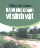 Chế phẩm vi sinh vật - Cải tạo môi trường: Phần 1