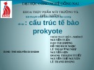 Bài thuyết trình Sinh học đại cương: Cấu trúc tế bào Prokyote