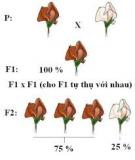 Bài tập môn Sinh học