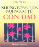 Côn Đảo - Những bông hoa nơi ngục tù: Phần 2