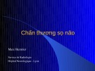 Bài giảng Chấn thương sọ não - Marc Hermier