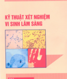 Phương pháp xét nghiệm vi sinh lâm sàng: Phần 2