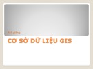 Bài giảng môn học Cơ sở hệ thống thông tin địa lý: Bài 3 - ThS. Đinh Quang Toàn