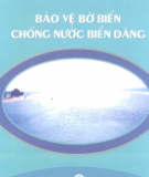 Hướng dẫn Bảo vệ bờ biển chống nước biển dâng: Phần 2