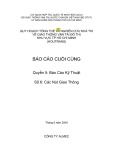 Quy hoạch Tổng thể và Nghiên cứu khả thi về GTVT Đô thị TP.HCM (HOUTRANS) - Báo cáo cuối cùng - Quyển 5: Báo cáo kỹ thuật - Số 9: Các nút giao thông