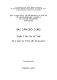 Quy hoạch Tổng thể và Nghiên cứu khả thi về GTVT Đô thị TP.HCM (HOUTRANS) - Báo cáo cuối cùng - Quyển 5: Báo cáo kỹ thuật - Số 2: Điều tra phỏng vấn hộ gia đình