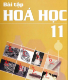 Hướng dẫn giải bài tập Hóa học 11: Phần 1