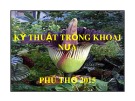 Bài giảng Kỹ thuật trồng khoai nứa